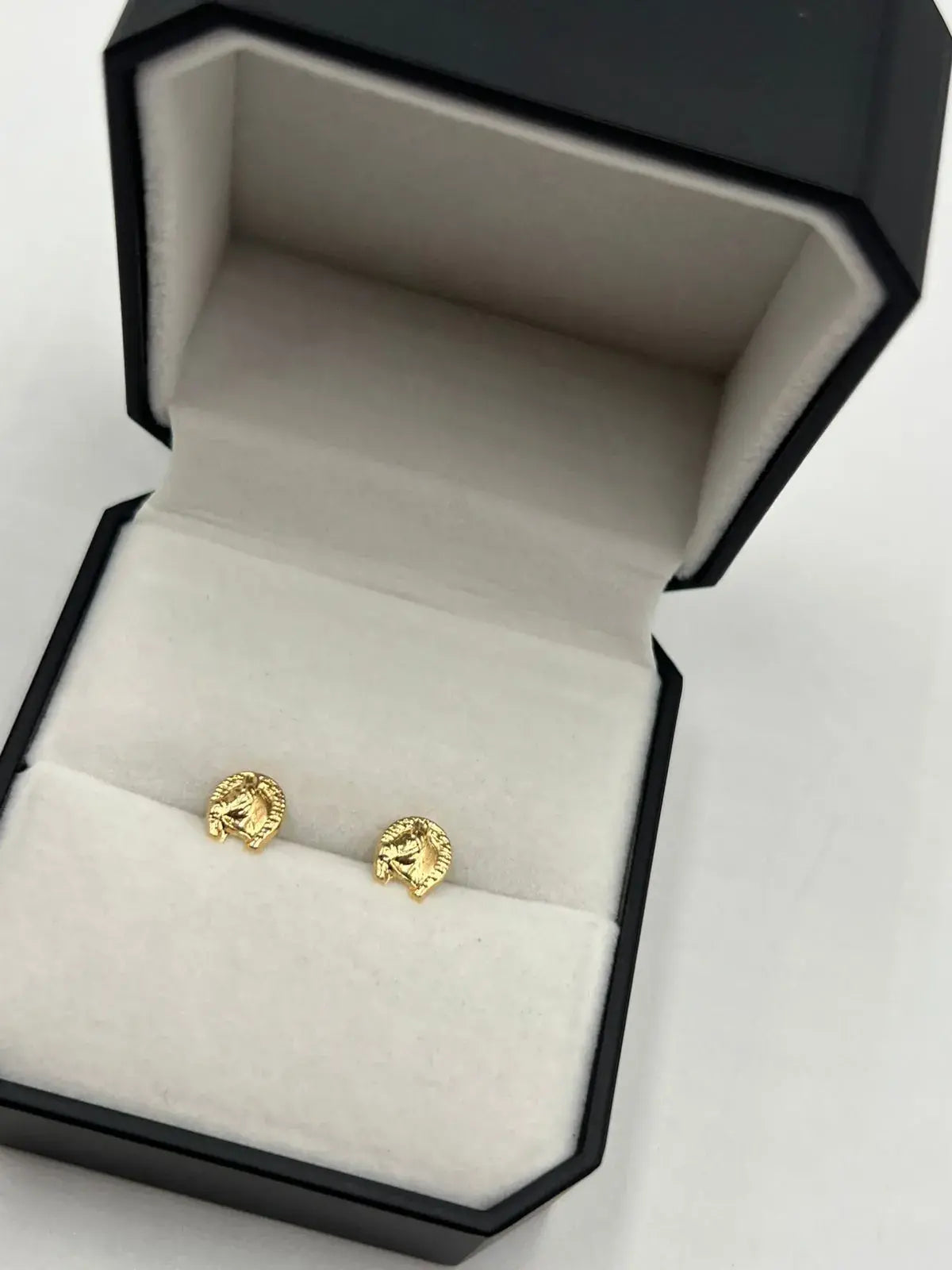 Topos Herradura Caballo