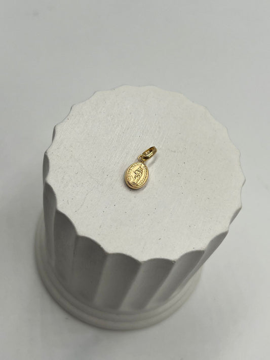 Dije Virgen Maria Auxiliadora Mini